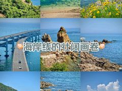 -大连老虎滩海洋公园