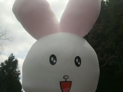 -仙海旅游度假区