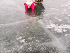 -丁香湖公园