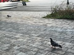 -东水关遗址公园