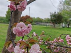 -苏州东太湖生态园