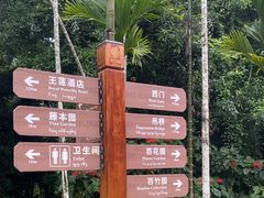 -中国科学院西双版纳热带植物园