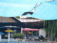 -重庆市奥林匹克体育中心-游泳跳水馆