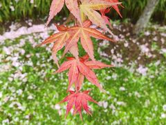 -玄武湖景区-情侣园游乐场