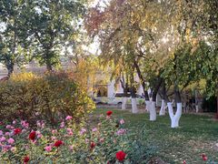 -天津五大道文化旅游区