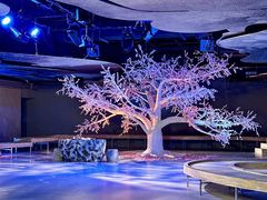 -江宁织造博物馆