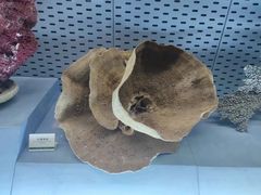 -浙江自然博物院(杭州馆)