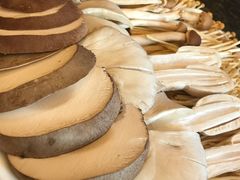 -老码头火锅(骡马市店)