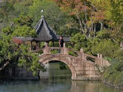 -上海醉白池公园