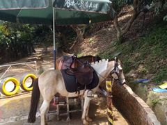 -水濂山森林公园