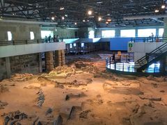 -自贡恐龙博物馆