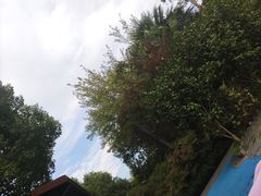 -杭州第一世界大酒店·云曼温泉