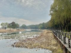 -太湖湖滨国家湿地公园-停车场
