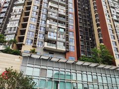 -深圳龙华星河COCO City(民治店)