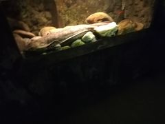 -洛阳龙门海洋馆