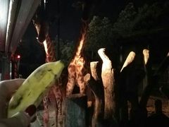 食草区-清迈夜间动物园
