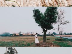 -良渚古城遗址公园