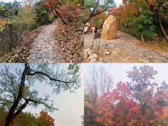 -北京西山国家森林公园