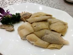 -六婶西关小厨(光塔路店)