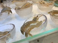 -半岛翡丽海鲜自助餐厅(观风亭店)