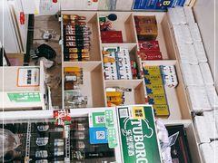 -煲来饱去冷水鱼