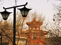 -哈尔滨极乐寺