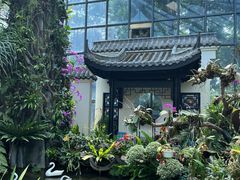-东莞植物园