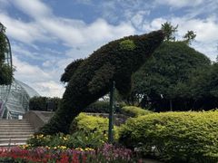 -南山植物园