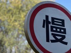 -西安浐灞国家湿地公园