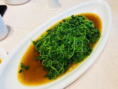 -天福苑(崇宁路店)