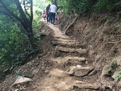 -黎坪国家森林公园