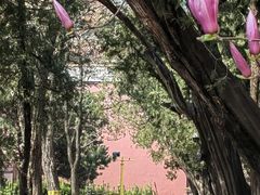 -北京市劳动人民文化宫(太庙)