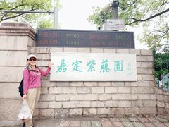 -嘉定紫藤园