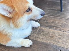 -肥朵食堂(带梦胡同店)