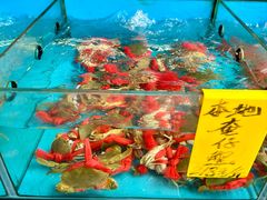 -崖口红树林海鲜餐厅