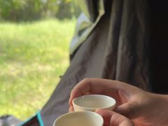 -永定河休闲森林公园