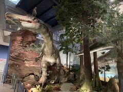 -湖南省地质博物馆