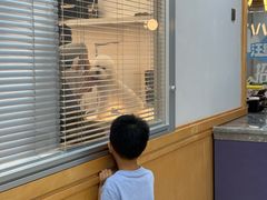 -帕帕拉兹宠物(亚洲旗舰店)