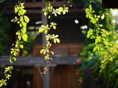 -景德镇陶阳里历史文化旅游区