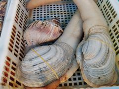 -南庄酒家·海鲜粤菜·25年老字号(环城南路店)