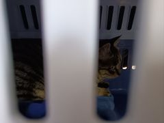 -联合动物医院(光谷诊疗中心)