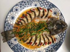 -天鹅到家·保姆月嫂育儿嫂(总店)