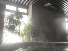 -陆地游轮吉林神农温泉