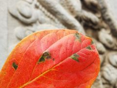 -北京石刻艺术博物馆(五塔寺)