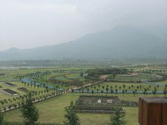 -白鹭湾湿地公园