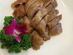 -龙悦湾酒家·八阵鱼生·渔人码头店