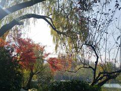 -苏堤停车场