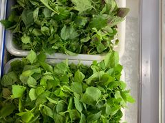 -黔府豆米火锅野菜馆(南马店)