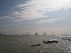 -滨海公园