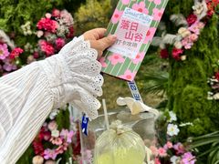 -千年银杏谷文化旅游区